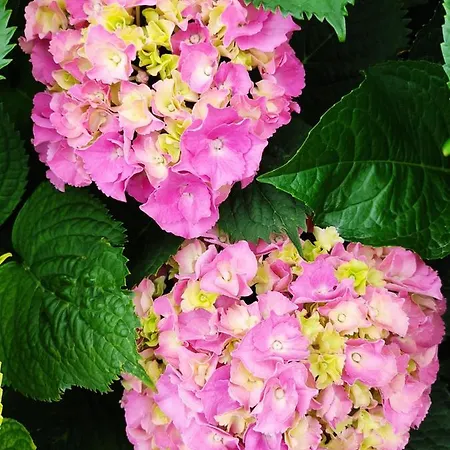 Cozy Blue Stone House With A Great Sea View. Villa *