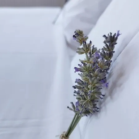 Cozy Blue Stone House With A Great Sea View. Villa *