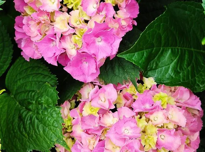 Cozy Blue Stone House With A Great Sea View. Vila *