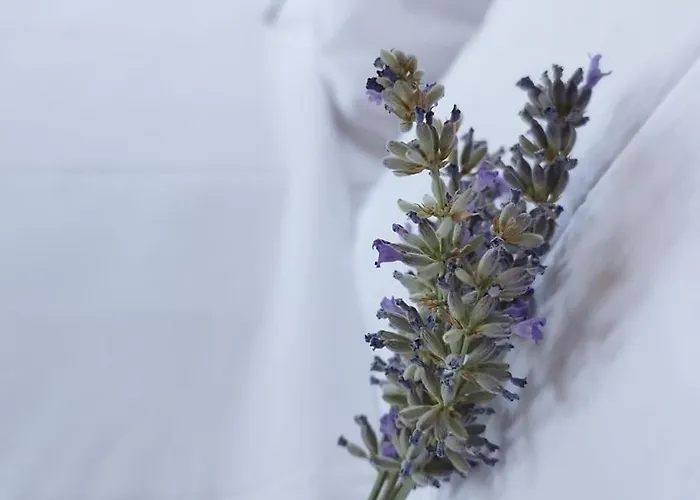 Cozy Blue Stone House With A Great Sea View. Vila *